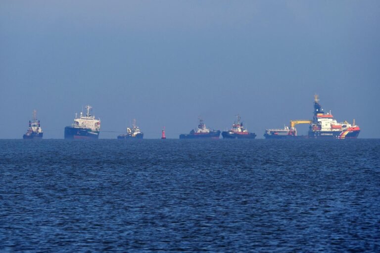 Ankara announces the passage of a second Turkish ship through the Strait of Hormuz