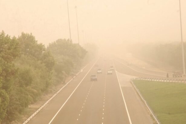 UAE weather.. The National Meteorological Department warns of dust