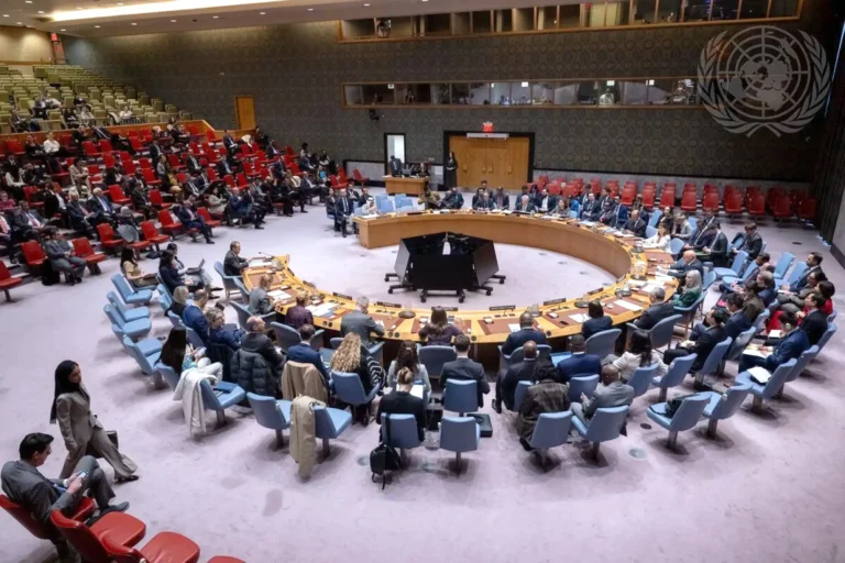 The Security Council fails to adopt a draft resolution to protect navigation in the Strait of Hormuz