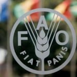 Iran tensions ignite markets... and the FAO warns of a global food price surge