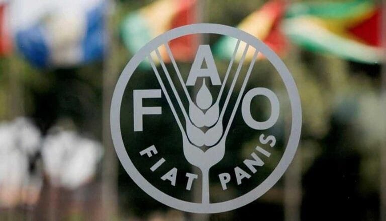 Iran tensions ignite markets... and the FAO warns of a global food price surge
