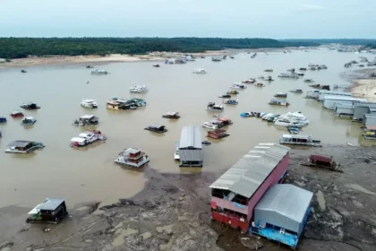 نهر الأمازون يختنق عطشًا.. جفاف تاريخي يهدد البيئة وحياة الملايين