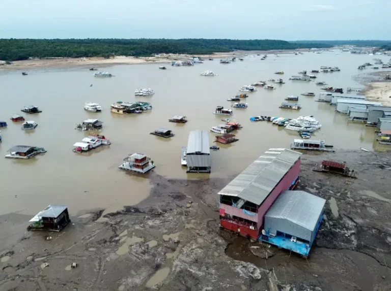 نهر الأمازون يختنق عطشًا.. جفاف تاريخي يهدد البيئة وحياة الملايين