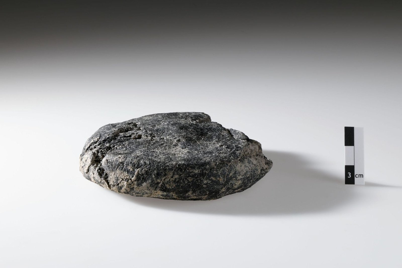 A Bite of History: 2,000-Year-Old Petrified Roman Bread Discovered in Swiss Archaeological Camp