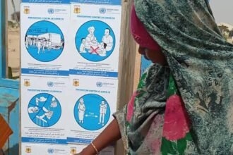 A worsening health crisis in Chad... and the United Nations sounds the alarm