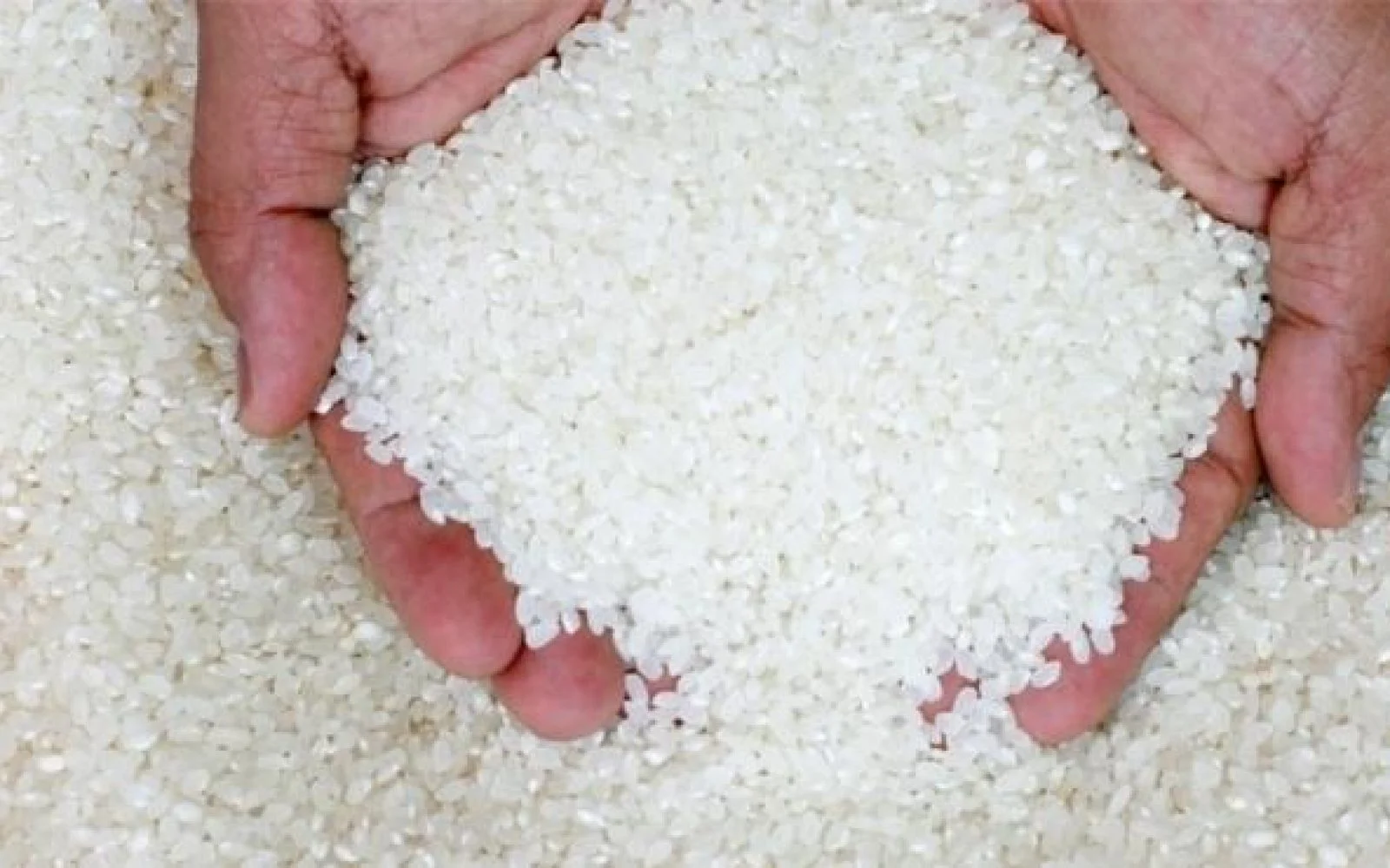 Cuba receives first shipment of Chinese rice as part of massive food aid