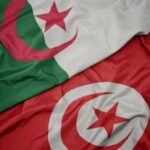 Algeria and Tunisia discuss strengthening joint coordination in preparation for an upcoming summit between the two presidents