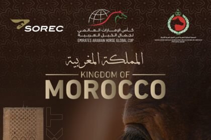 With the participation of 179 horses.. Morocco hosts the third round of the UAE World Cup for Arabian Horse Beauty