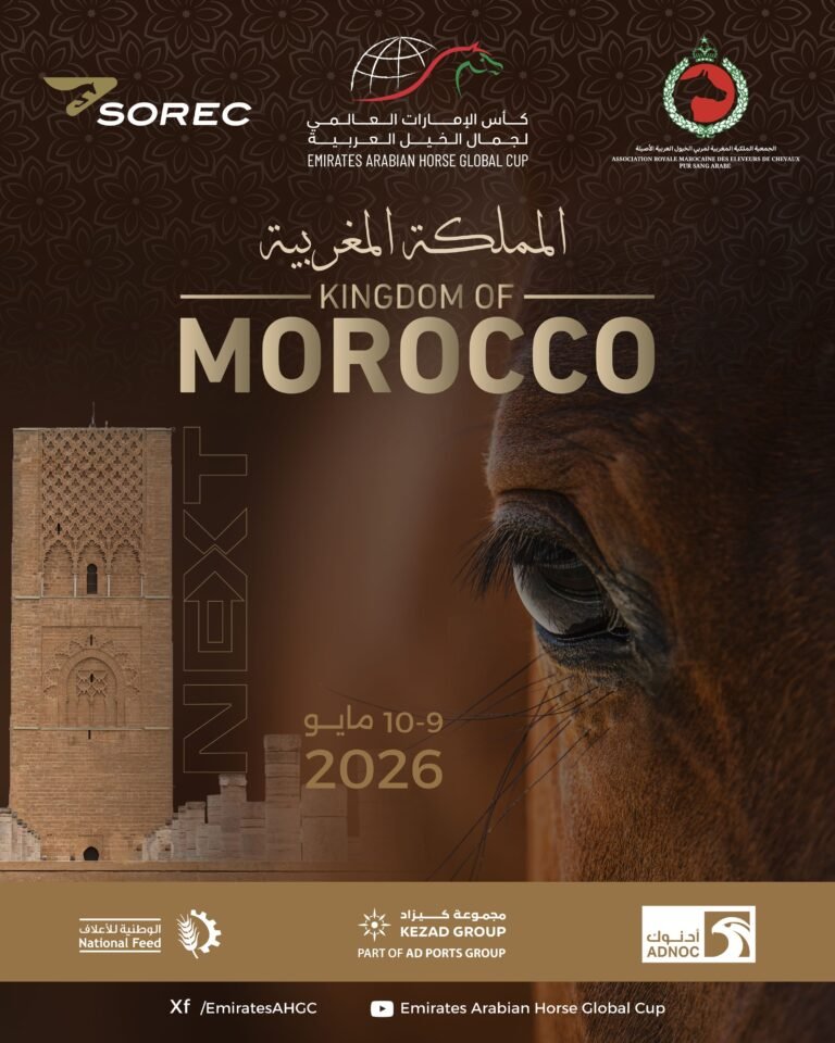 With the participation of 179 horses.. Morocco hosts the third round of the UAE World Cup for Arabian Horse Beauty
