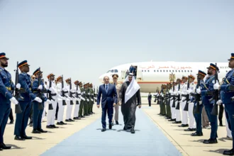 الرئيس الإماراتي والرئيس المصري يبحثان العلاقات الأخوية والتطورات الإقليمية1