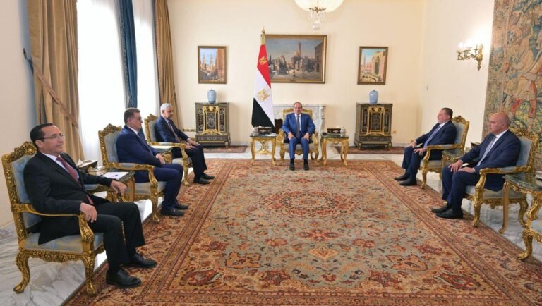 تفاصيل لقاء السيسي ورئيس مجموعة بنك التنمية الأفريقي لبحث شراكة 2031
