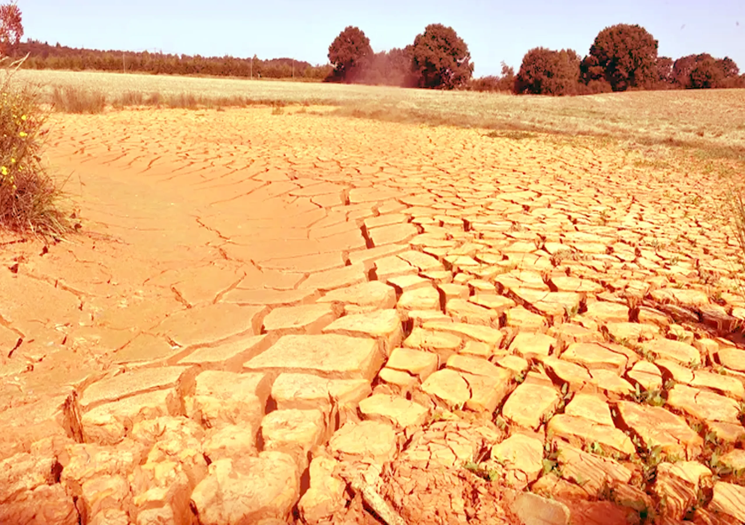 Severe weather threatens agricultural production and affects food quality in European continent