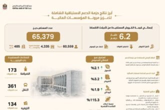المركزي الإماراتي: 6.2 مليار درهم قيمة التسهيلات المستفيدة من حزمة الدعم