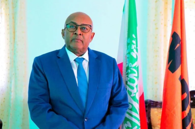 Somaliland asks Britain for formal recognition of its independence