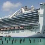 Cruise ship terror: 115 infected with norovirus and 3 killed by deadly hantavirus