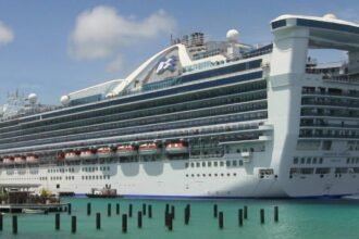 Cruise ship terror: 115 infected with norovirus and 3 killed by deadly hantavirus