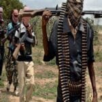 Exclusive - Operation "Benin": The terrorist phenomenon of "Hydra" is tearing at the Sahel and extending towards the Gulf of Guinea
