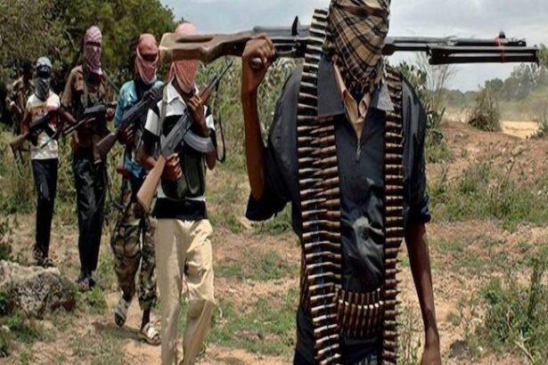 Exclusive - Operation "Benin": The terrorist phenomenon of "Hydra" is tearing at the Sahel and extending towards the Gulf of Guinea