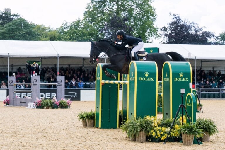 Portugal.. "sail Knights" show jumping participate in the team championship