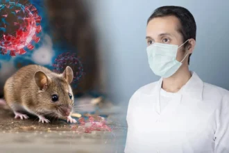 Paris is taking action to protect its citizens... France is monitoring the crisis of the ship infected with the Hantavirus