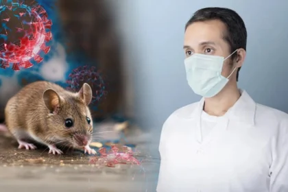 Paris is taking action to protect its citizens... France is monitoring the crisis of the ship infected with the Hantavirus