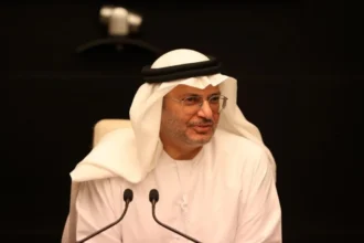 قرقاش: نثمّن رسائل التضامن الخليجية والعربية والدولية مع الإمارات