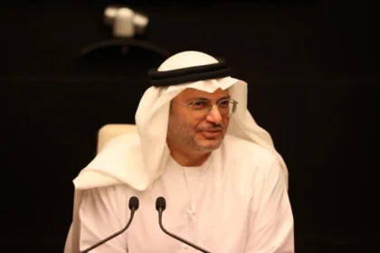 قرقاش: نثمّن رسائل التضامن الخليجية والعربية والدولية مع الإمارات