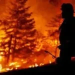 A pilot was killed during a firefighting mission after his plane crashed in the forests of eastern Poland