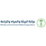 رقابة مشددة على مسالخ نجران خلال عيد الأضحى لضمان سلامة الأضاحي