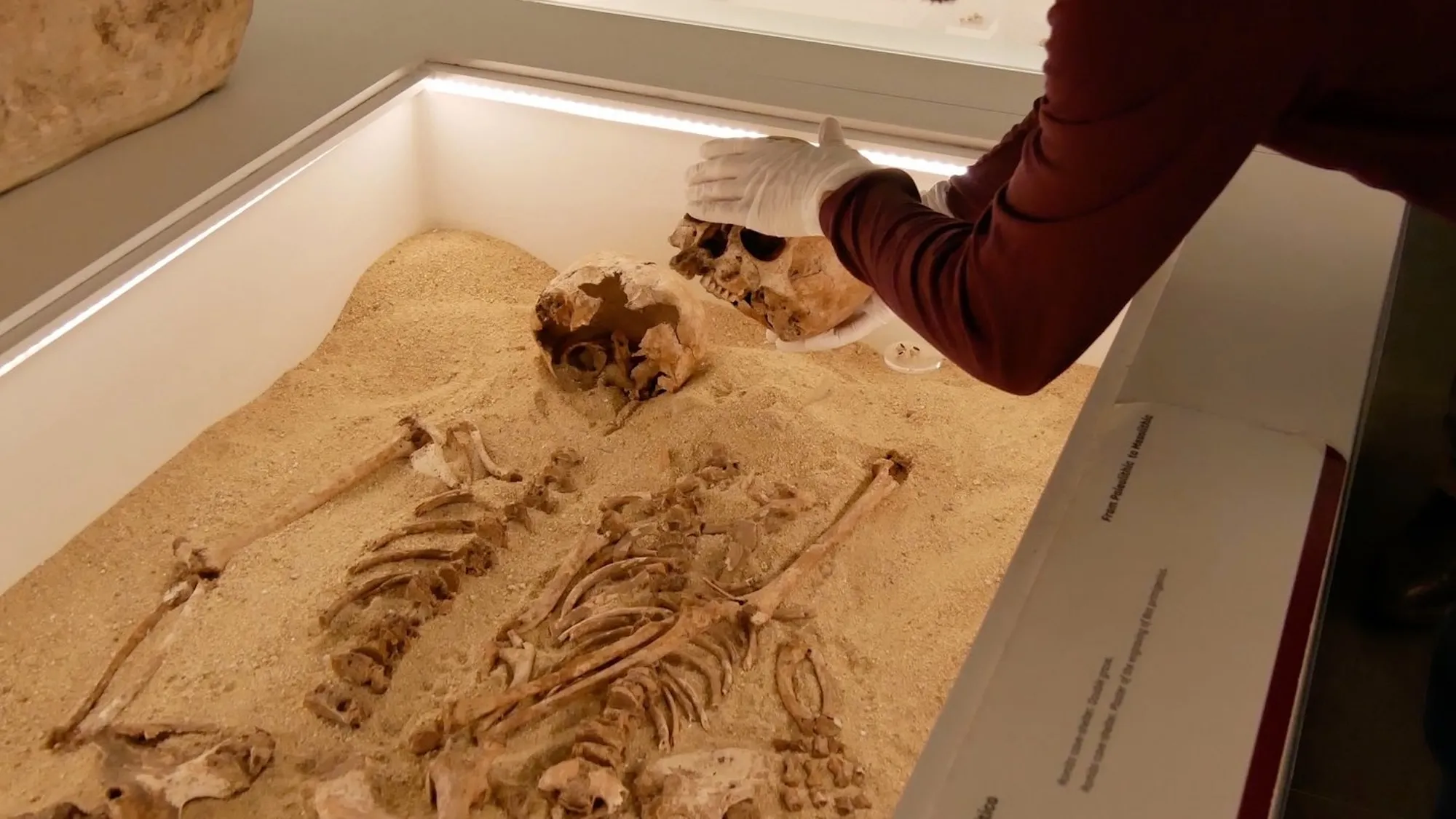 Secrets of Death in Prehistoric Times.. Massive Cemetery Reveals Children’s Diseases