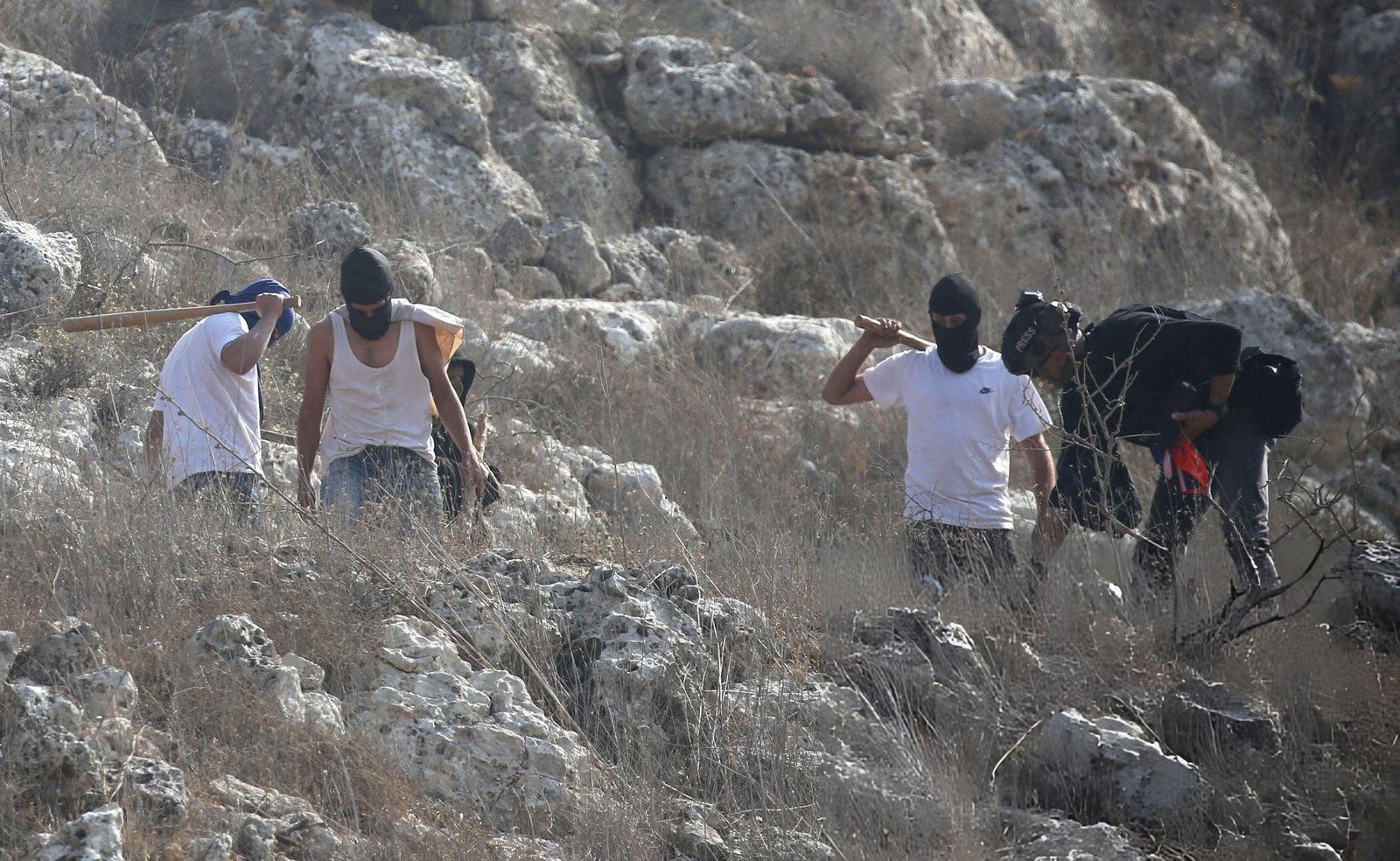 Injuries and Field Tensions Following Settler Attacks West of Ramallah