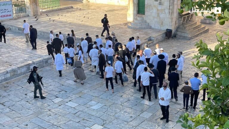 Widespread Arab and Islamic condemnation of settlers' incursions into Al-Aqsa Mosque and warnings of a dangerous escalation in Jerusalem