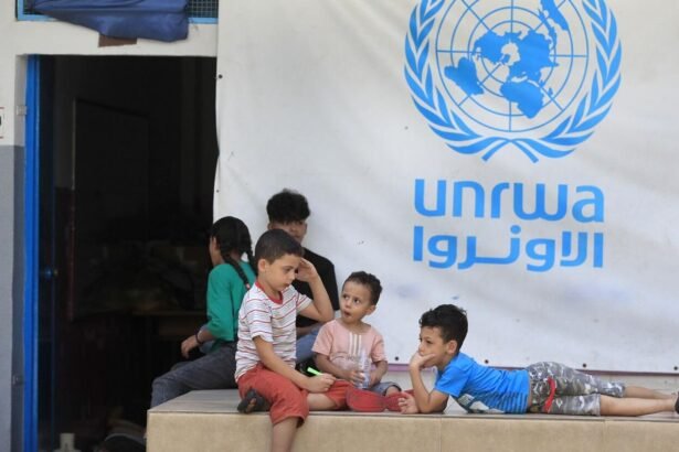 Renewed Arab and international support for UNRWA and rejection of any attempt to undermine its role towards Palestinian refugees