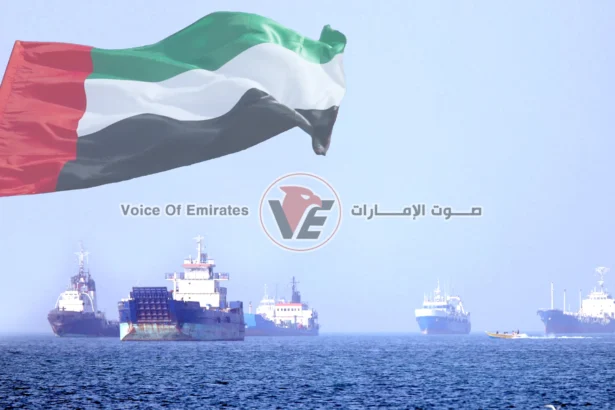 The UAE emphasizes the need to ensure freedom and safety of navigation in international waterways, including the Strait of Hormuz