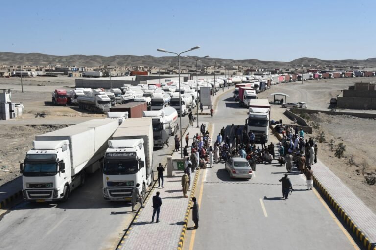 Islamabad calls for international action to counter security threats on its western border