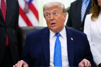 "A unique scene": Trump turns the White House garden into a UFC arena