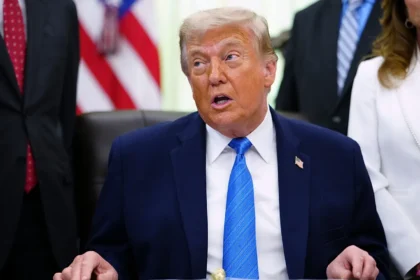 "A unique scene": Trump turns the White House garden into a UFC arena