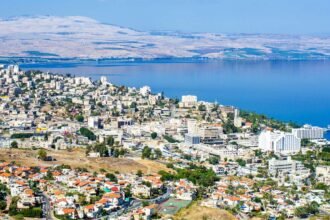 Unusual attacks near the Sea of ​​Galilee: Wild animals injure a number of settlers
