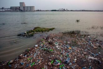 A serious environmental warning: The Tigris River is contaminated with E. coli bacteria, threatening Iraqis with 13 deadly diseases