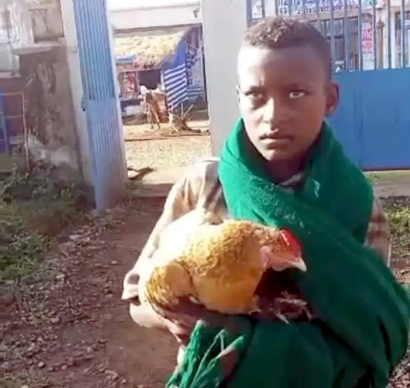 Ethiopian child wins admiration after taking his sick chicken to the hospital