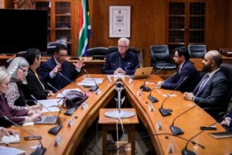 Talks between Dubai Chambers and Cape Town PM aim to boost intra-regional trade and investment