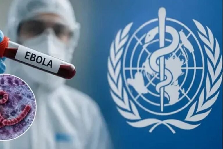 The specter of the 2014 epidemic returns... Will the Ebola virus escape control in Congo?