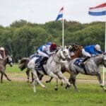 هولندا تستضيف المحطة السابعة لكأس رئيس الإمارات للخيول العربية الأصيلة