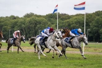 هولندا تستضيف المحطة السابعة لكأس رئيس الإمارات للخيول العربية الأصيلة