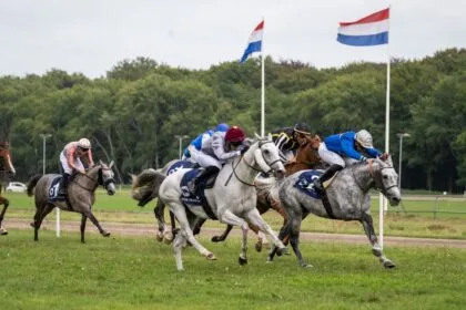 The Netherlands hosts the seventh leg of the UAE President's Cup for Purebred Arabian Horses