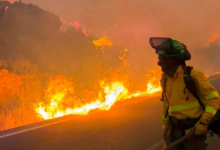 Spain intensifies efforts to extinguish Almeria fire after 12 people died and more than 1,400 were evacuated
