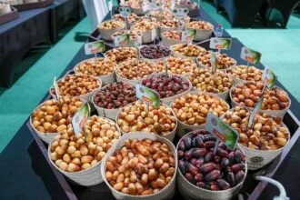 "Al Ain Rutab Festival" launches its first session