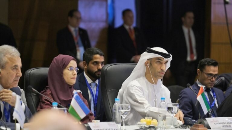 At the Mercosur Summit and on behalf of the President of the UAE.. Al-Zayoudi: Rapid geopolitical transformations are reshaping the global economy