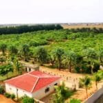 Rural farms in Jazan: A summer destination combining nature and recreation
