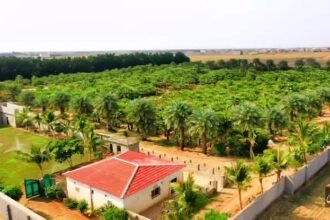 Rural farms in Jazan: A summer destination combining nature and recreation